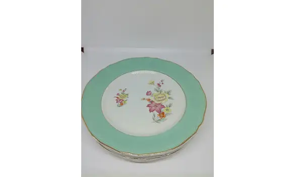 6 Assiettes plates mint