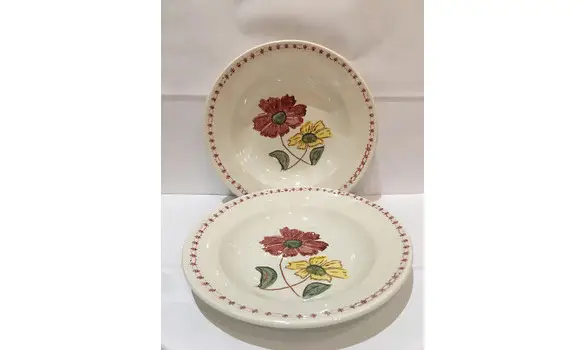 Lot de 2 assiettes creuses