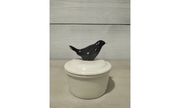 Boite oiseau